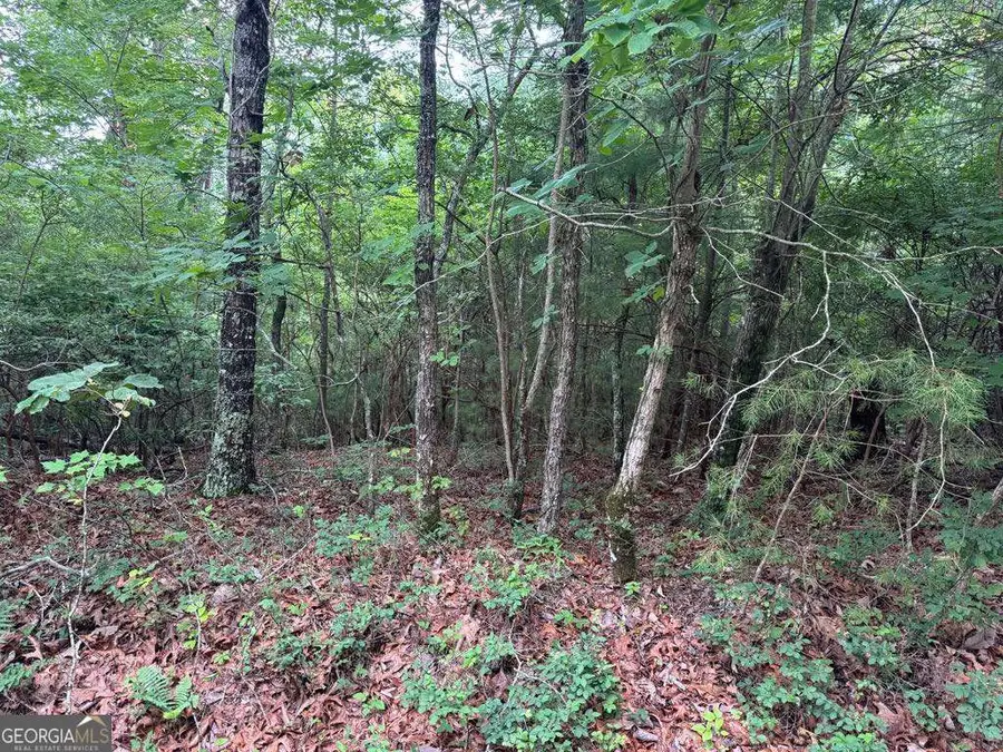 793 Woodbine Lane, Ranger, GA 30734 - Image #2