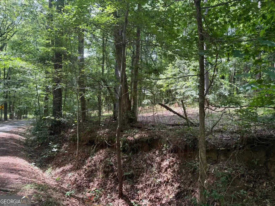 0 Turner Road, Hampton, GA 30228 - #2