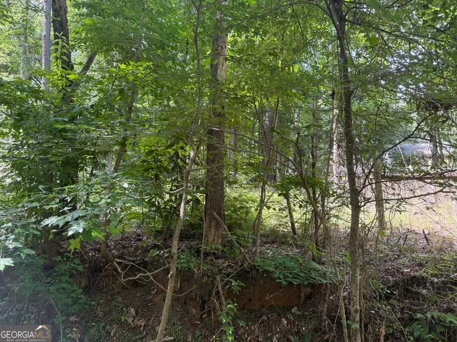 0 Turner Road, Hampton, GA 30228 - #3