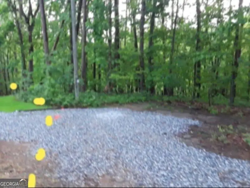 0 Pink Mountain, Cleveland, GA 30528 - Image #3