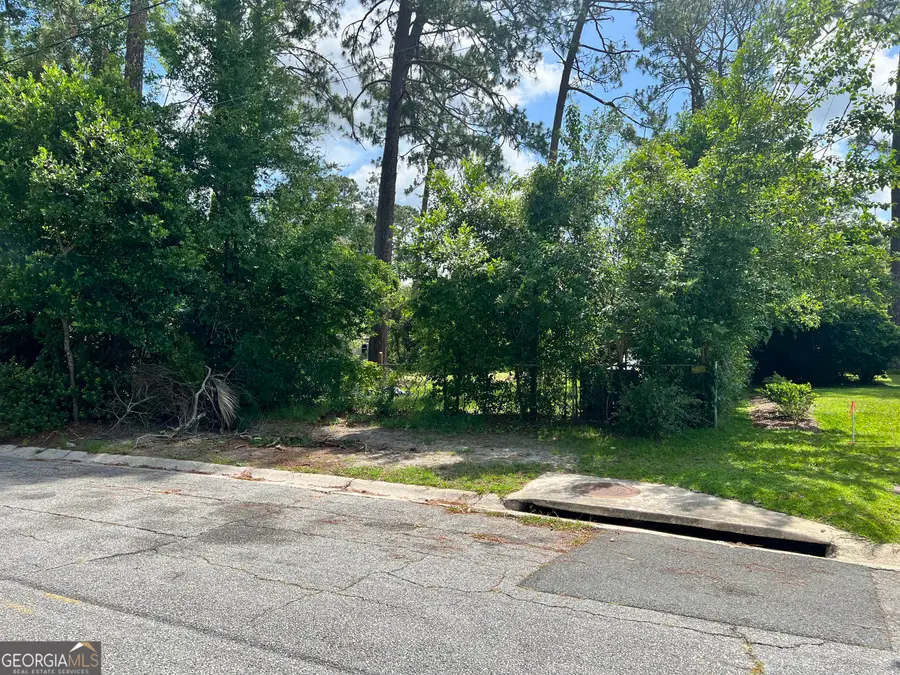0 St Mary's Avenue #(TRACT 2 0.25 ACRES), Waycross, GA 31501 - #2