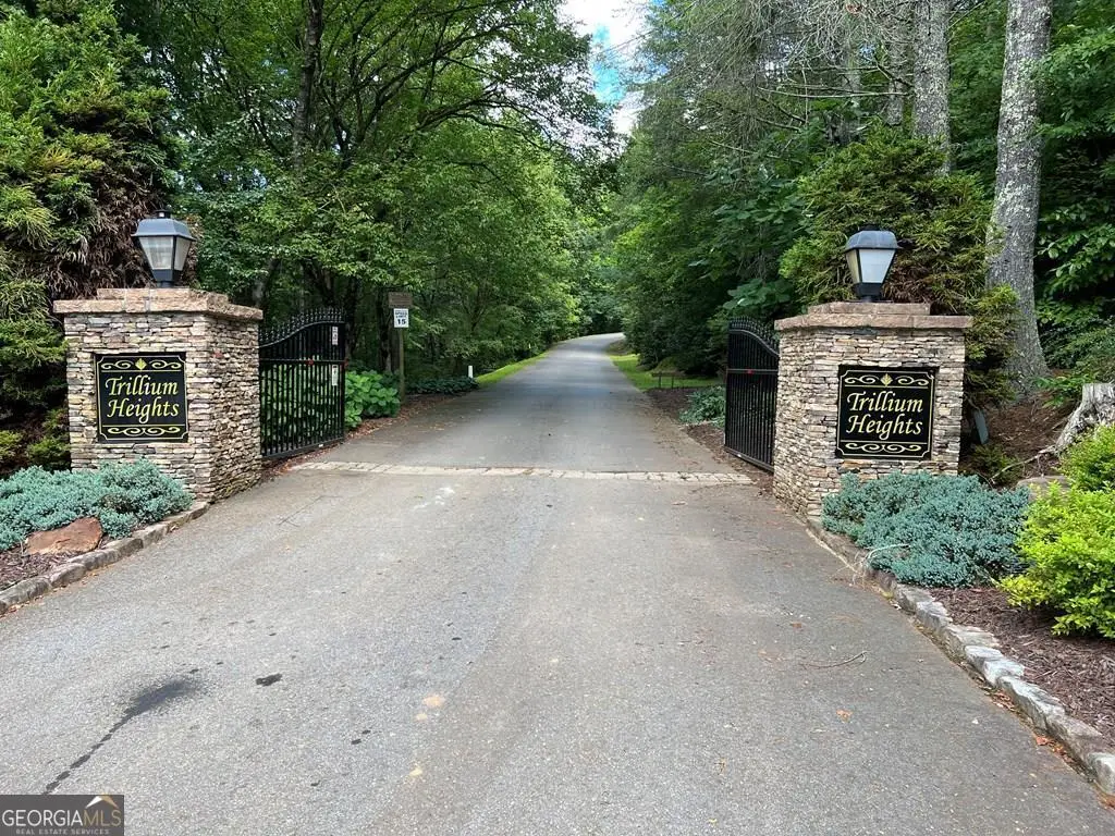 LOT 10 Trillium Heights, Brasstown, NC 28902 - Image #1