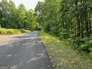LOT 10 Trillium Heights, Brasstown, NC 28902 - Image #3