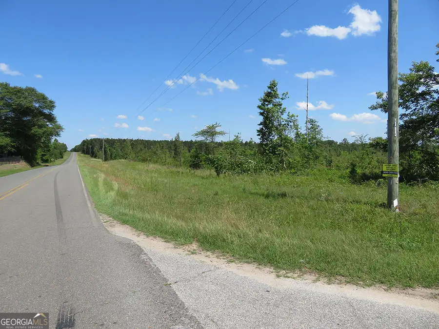 0 Goolsby Road, Ellaville, GA 31806 - Image #2