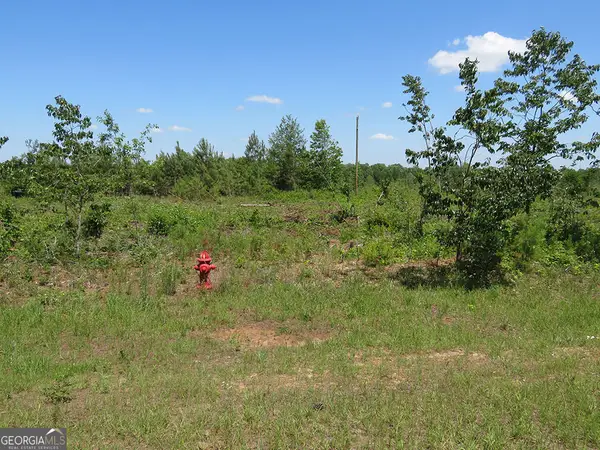 0 Ebenezer Road, Ellaville, GA 31806