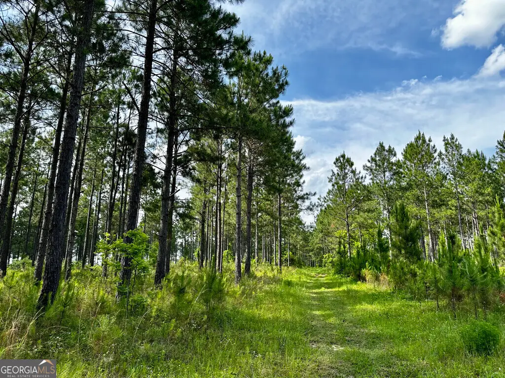 0 Old Prison Camp, McRae, GA 31055 - Image #1