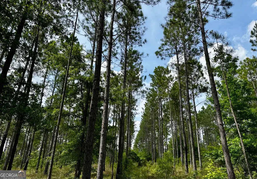 0 Old Prison Camp, McRae, GA 31055 - Image #2