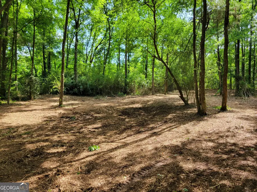 2200 Rest Haven Road, Yatesville, GA 31097 - Image #2