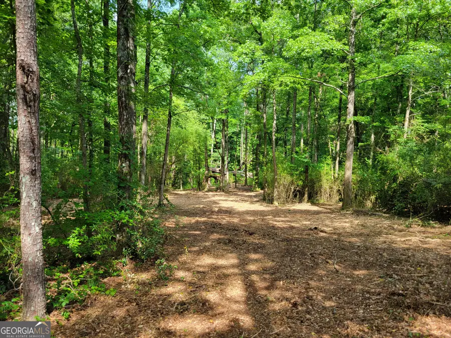 2200 Rest Haven Road, Yatesville, GA 31097 - Image #3