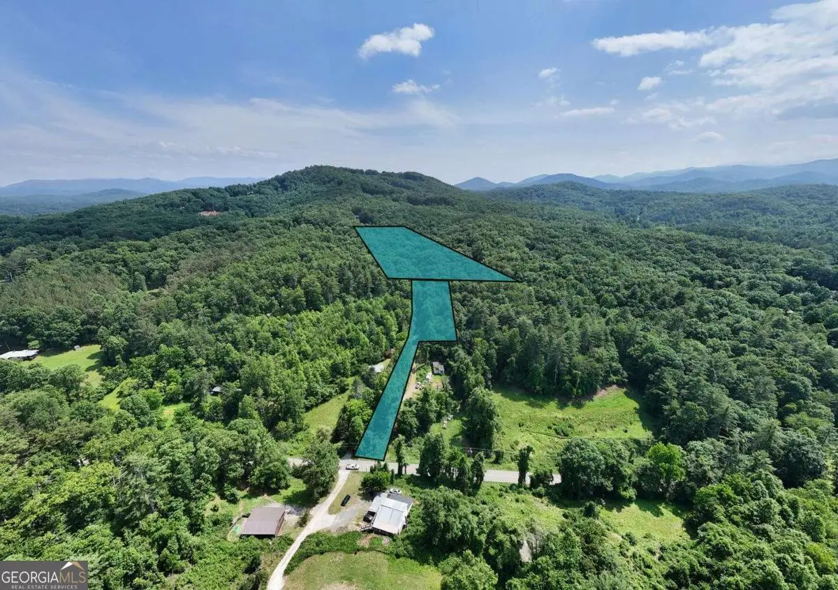 201 Jaguar Lane, Blue Ridge, GA 30513 - #1