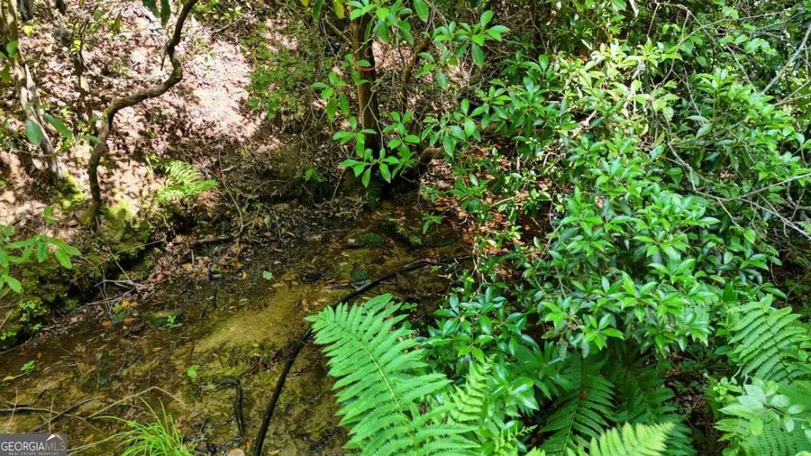201 Jaguar Lane, Blue Ridge, GA 30513 - #2