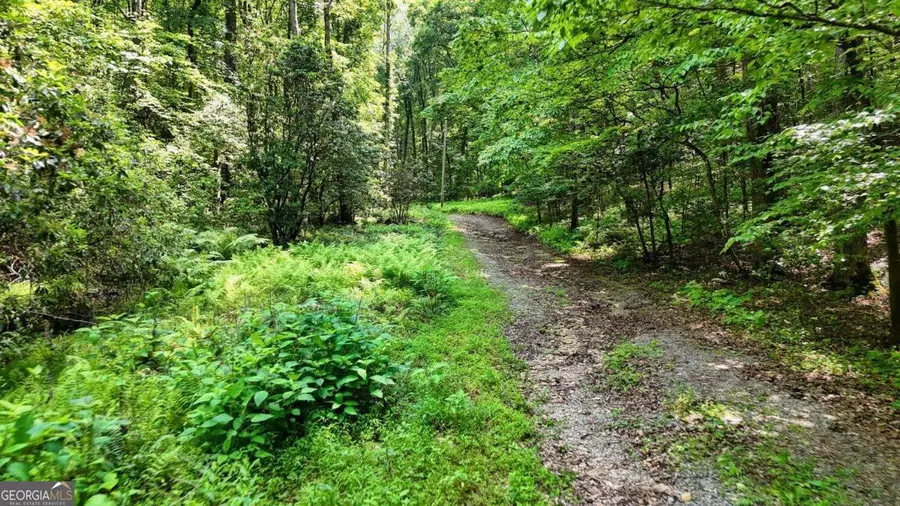 201 Jaguar Lane, Blue Ridge, GA 30513 - #3