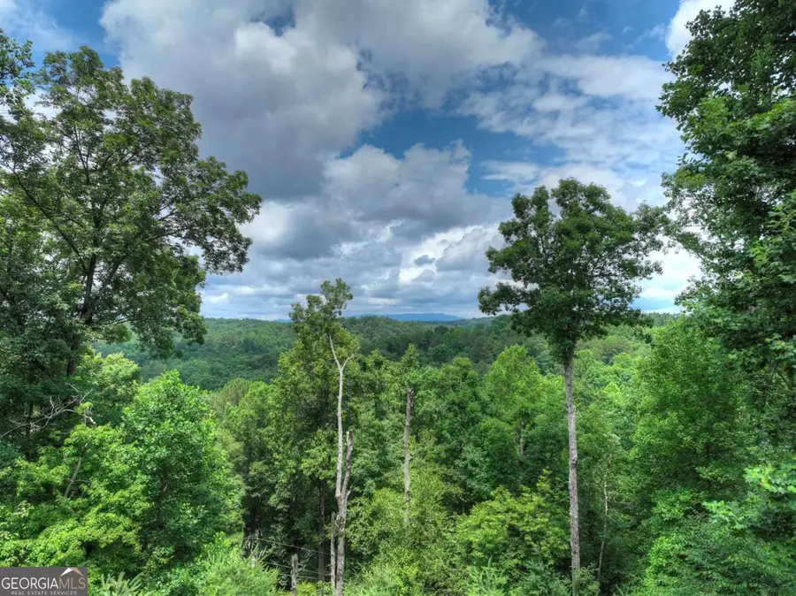 897 Faraday Drive, Ellijay, GA 30540 - #2
