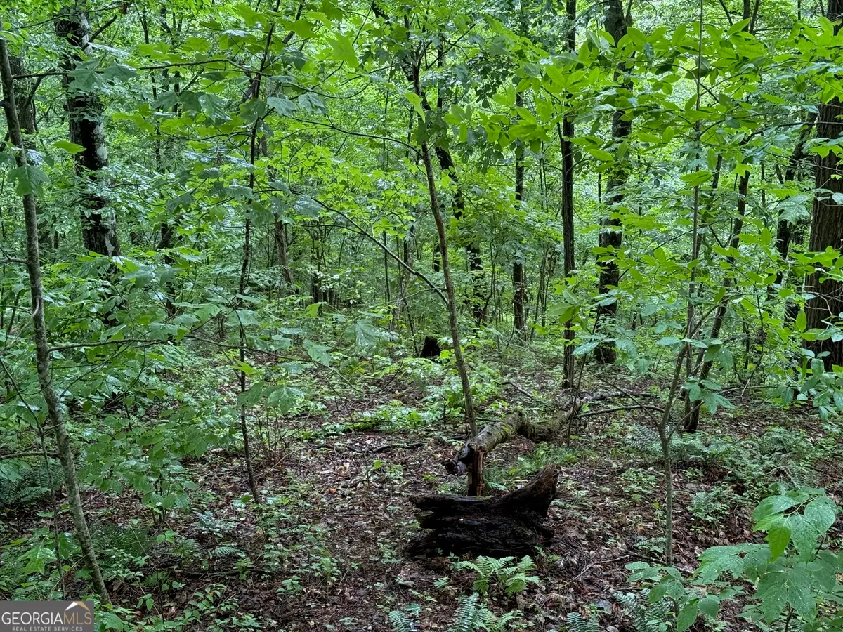 8 Black Bear Trail, Hiawassee, GA 30546 - Image #1