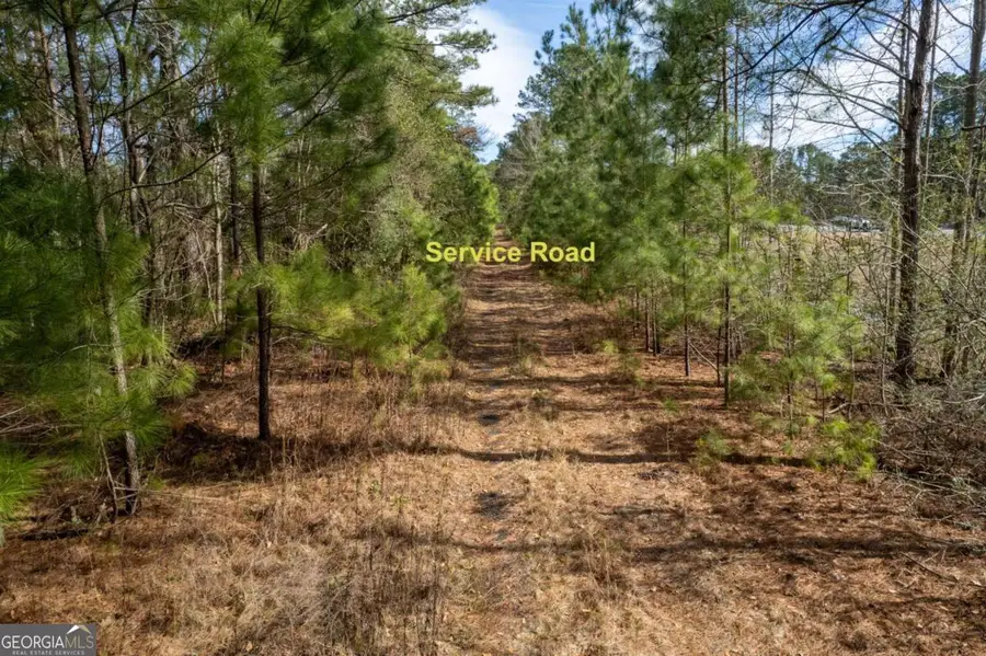 0 Abercorn Extension, Savannah, GA 31419 - Image #3