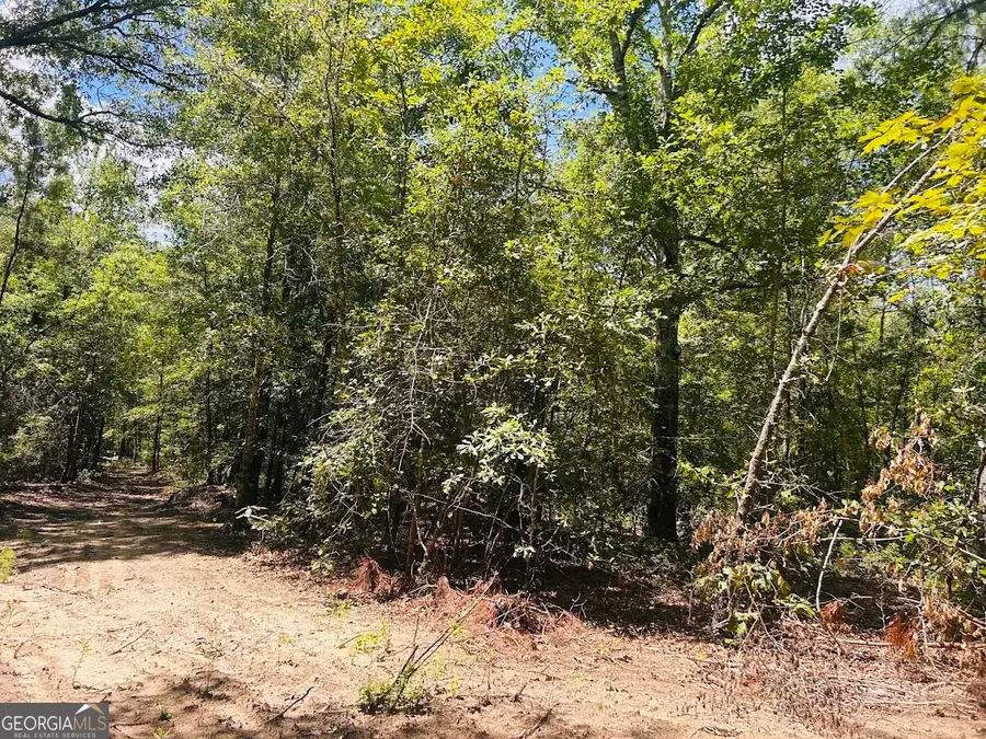 0 Moores Chapel Road, Mauk, GA 31058 - Image #2