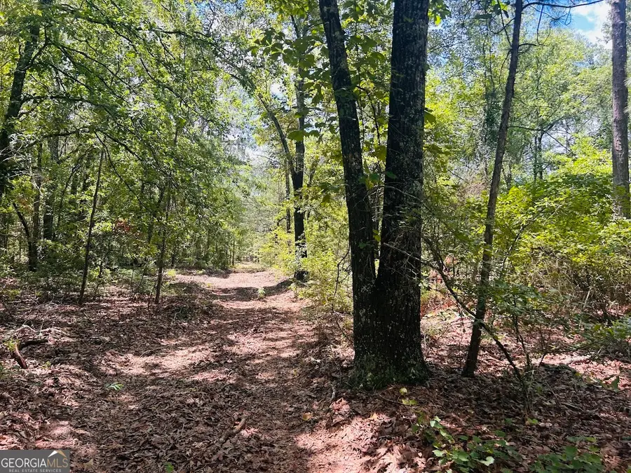 0 Moores Chapel Road, Mauk, GA 31058 - Image #3