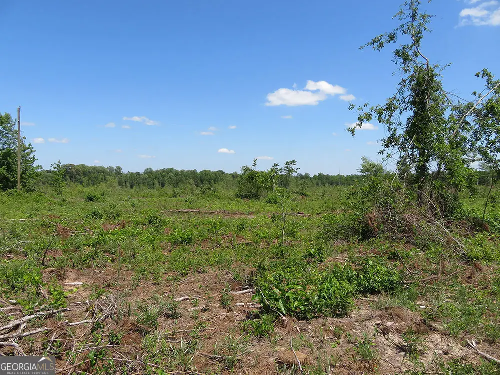 2 Goolsby Road, Ellaville, GA 31806 - Image #1