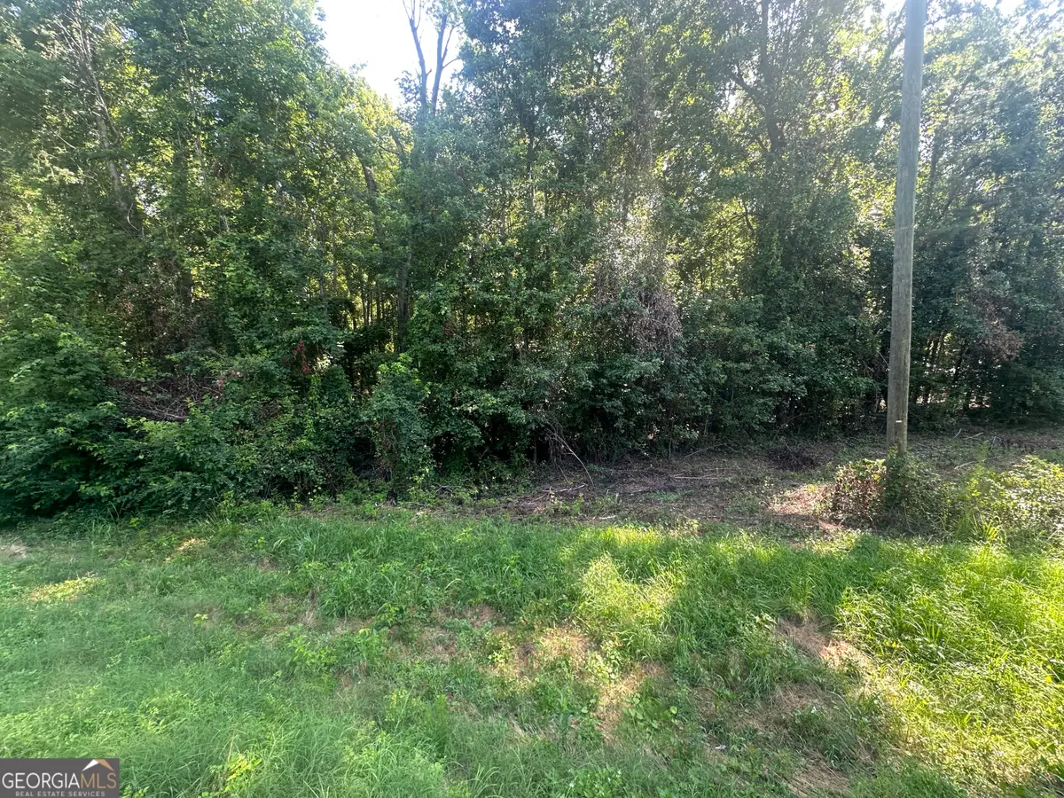 0 Waynesboro Highway, Sylvania, GA 30467 - Image #1