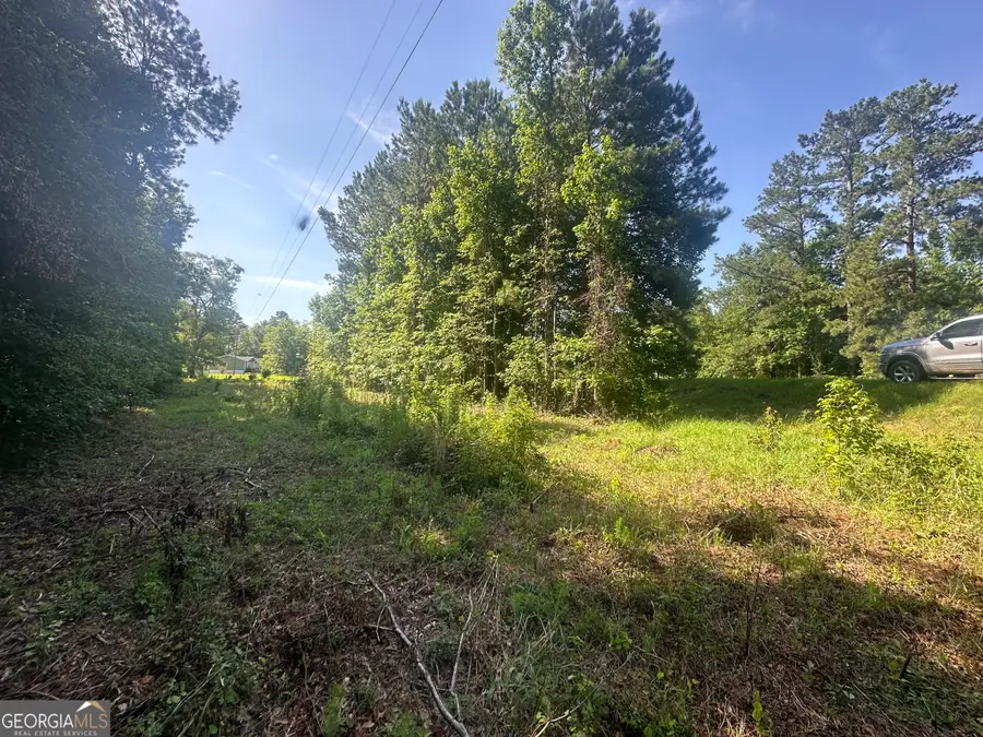 0 Waynesboro Highway, Sylvania, GA 30467 - Image #3