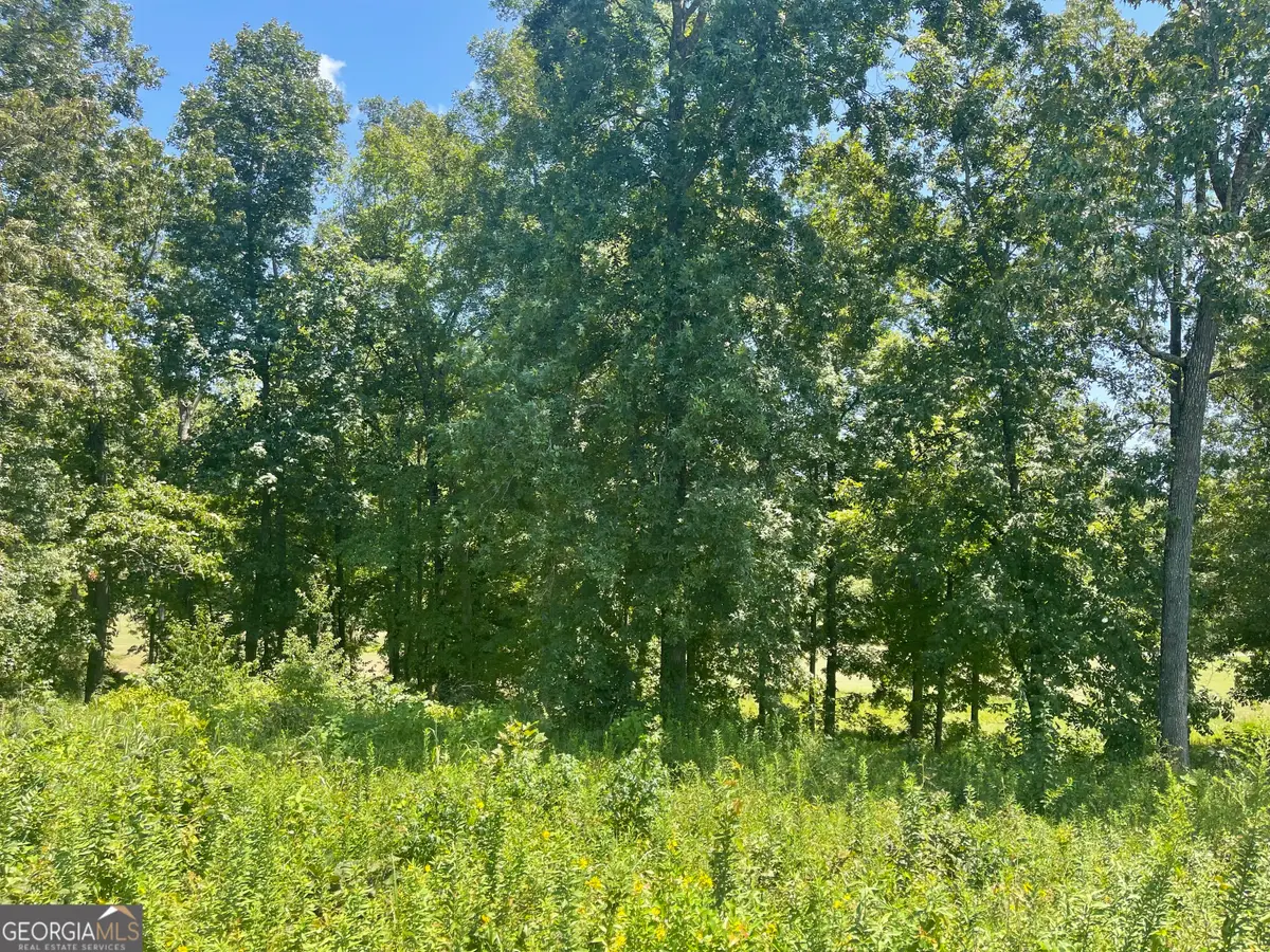 LOT 11 Oak Drive, Hawkinsville, GA 31036 - Image #1