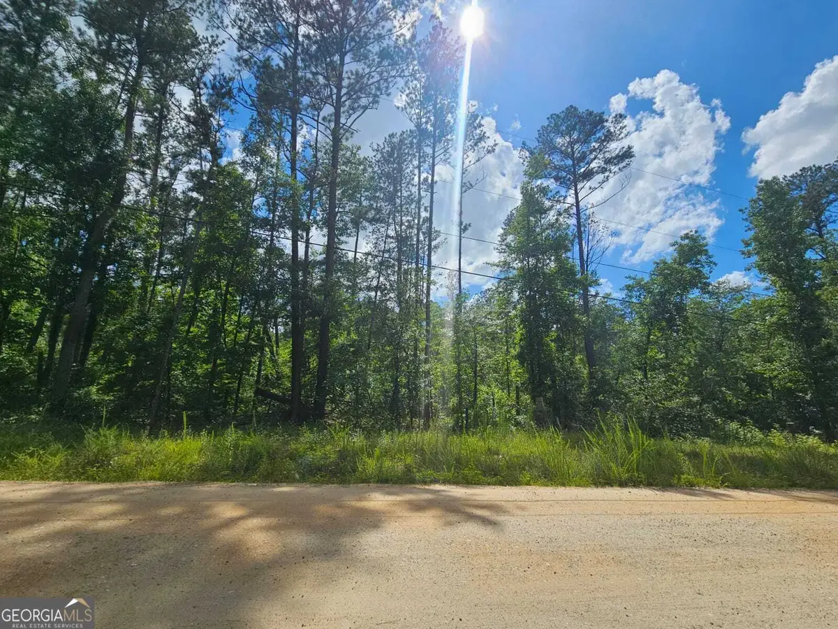 2.8 AC Bear Creek Point Road, Mansfield, GA 30055 - Image #1