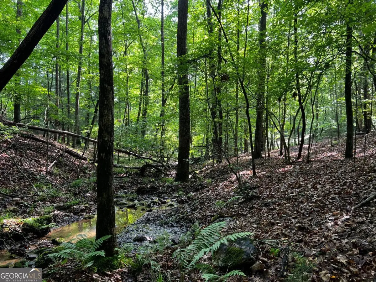 3.52 AC Payne Way, Blairsville, GA 30512 - #1