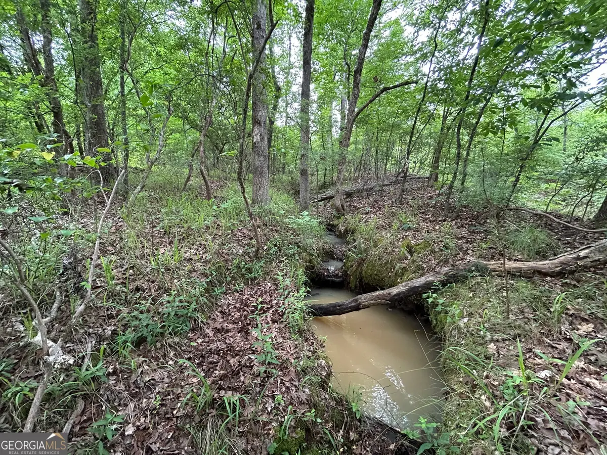 0 Mcdade Road, Eatonton, GA 31024 - Image #1