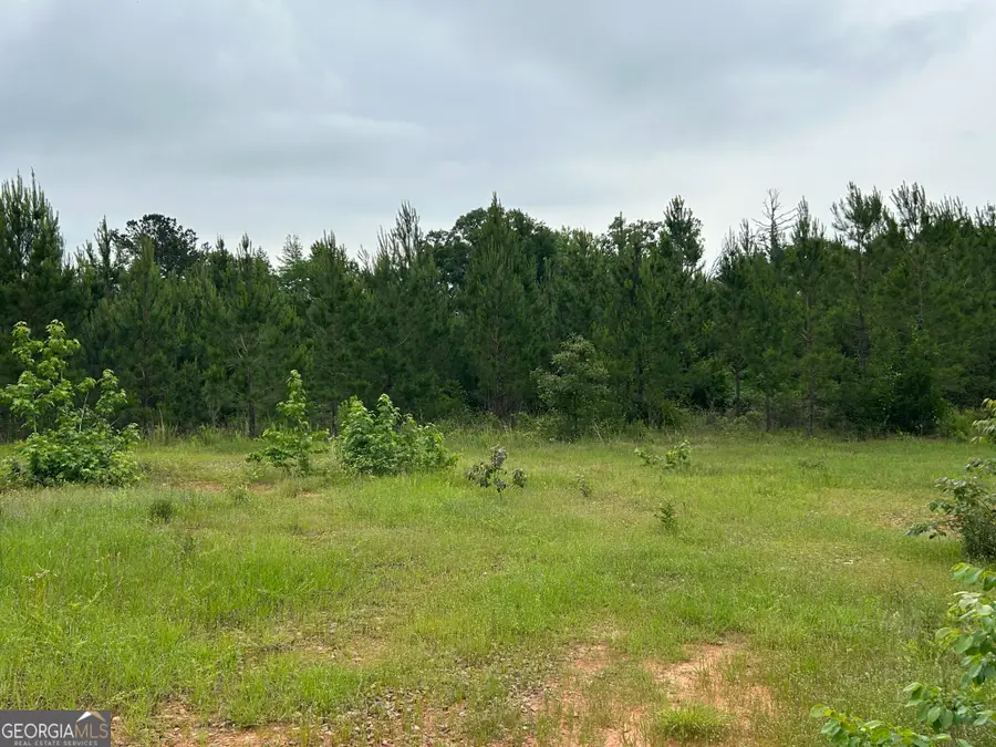 0 Mcdade Road, Eatonton, GA 31024 - Image #3
