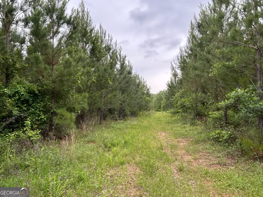 0 Mcdade Road, Eatonton, GA 31024 - Image #2