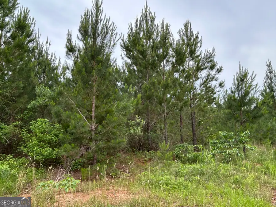 0 Mcdade Road, Eatonton, GA 31024 - Image #3