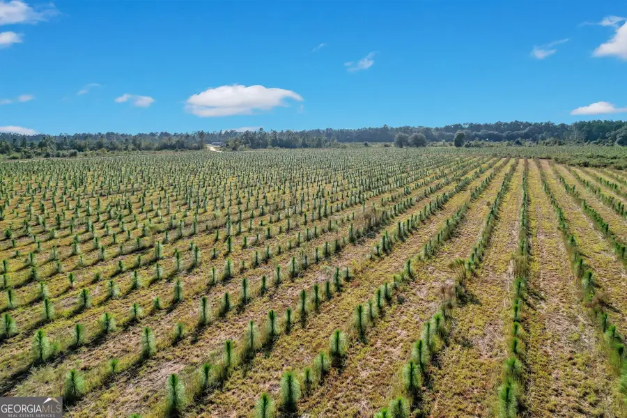 2000-4 Sellers Road Nw, Baxley, GA 31513 - Image #3