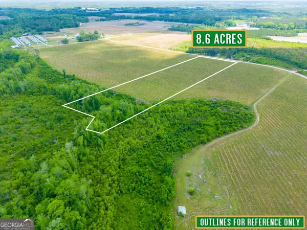 TRACT 9 Sellers Road Nw, Baxley, GA 31513