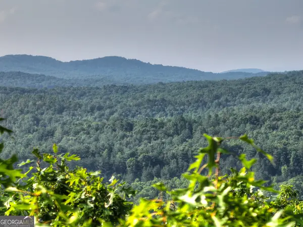 0 Walker Drive, Morganton, GA 30560