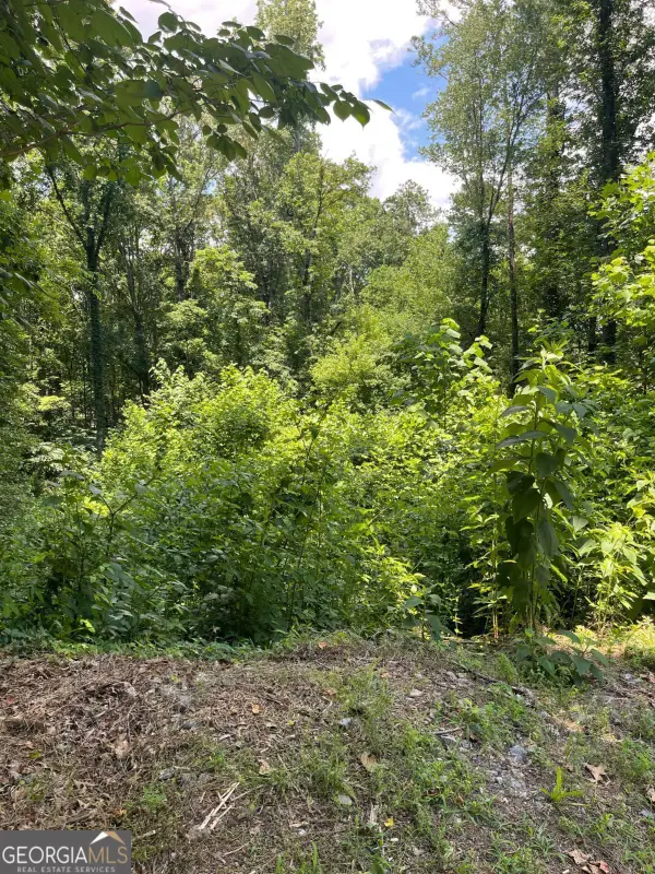 609 Ann Court, Woodstock, GA 30188