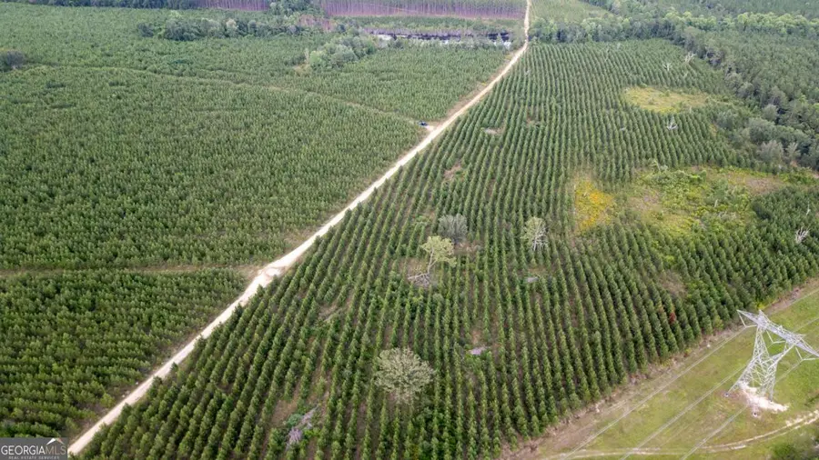 0 Off Mills Road, Baxley, GA 31513 - Image #2