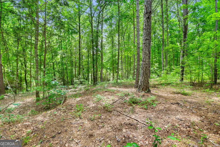 11.59+/- AC Hunt Road, Lagrange, GA 30241 - Image #2