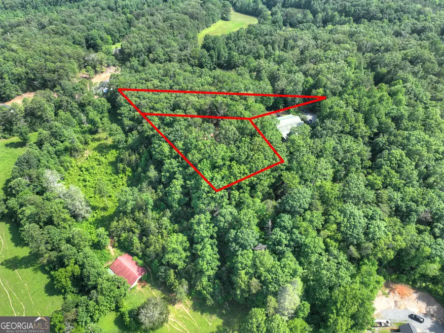 0 Sugar Creek Road, Blue Ridge, GA 30513 - #3