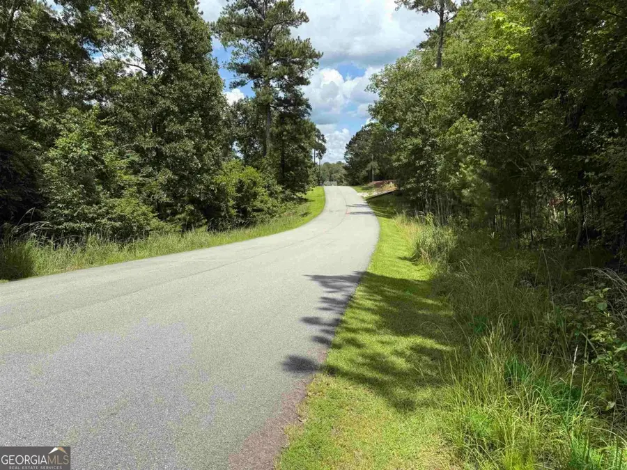 1041 Glen Eagle Drive, Greensboro, GA 30642 - Image #2