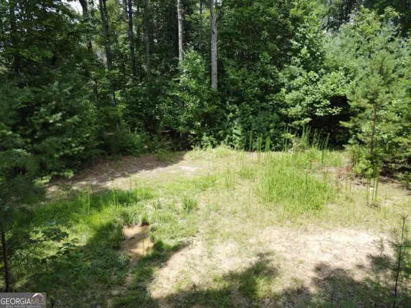 LOT 4 Scouts Overlook Lane, Morganton, GA 30560