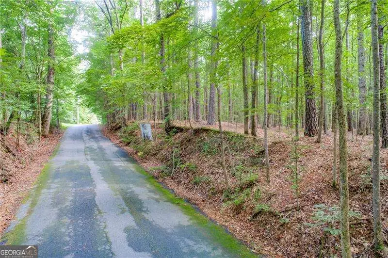 0 Old Grogan Road, Acworth, GA 30101 - #3