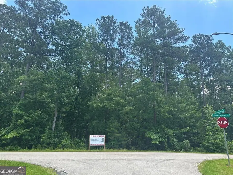 0 Elsberry Mountain Road, Dallas, GA 30132 - #3