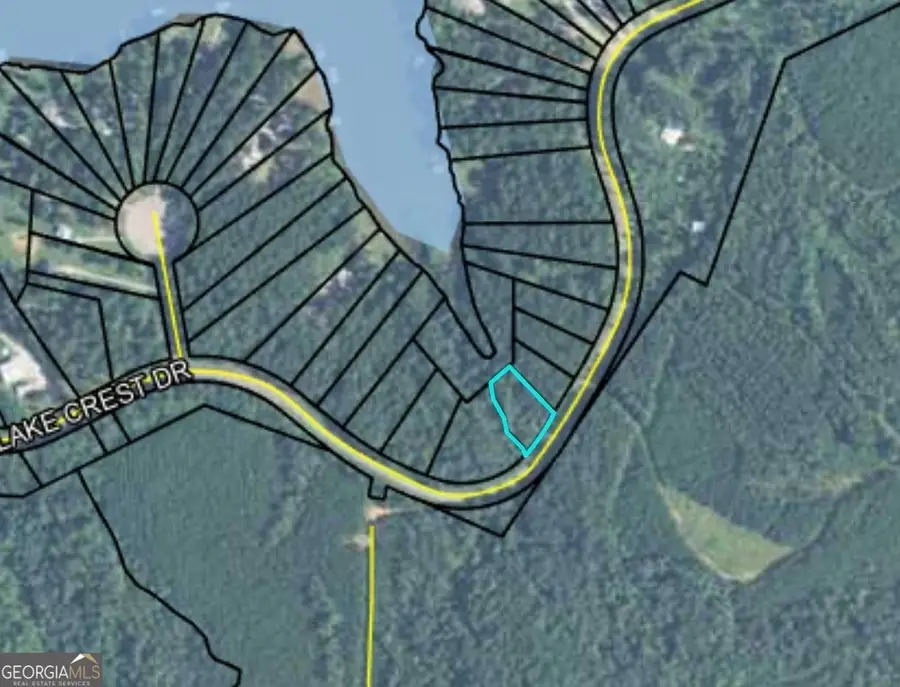 LOT WE100 Lake Crest Drive, Sparta, GA 31087 - Image #3