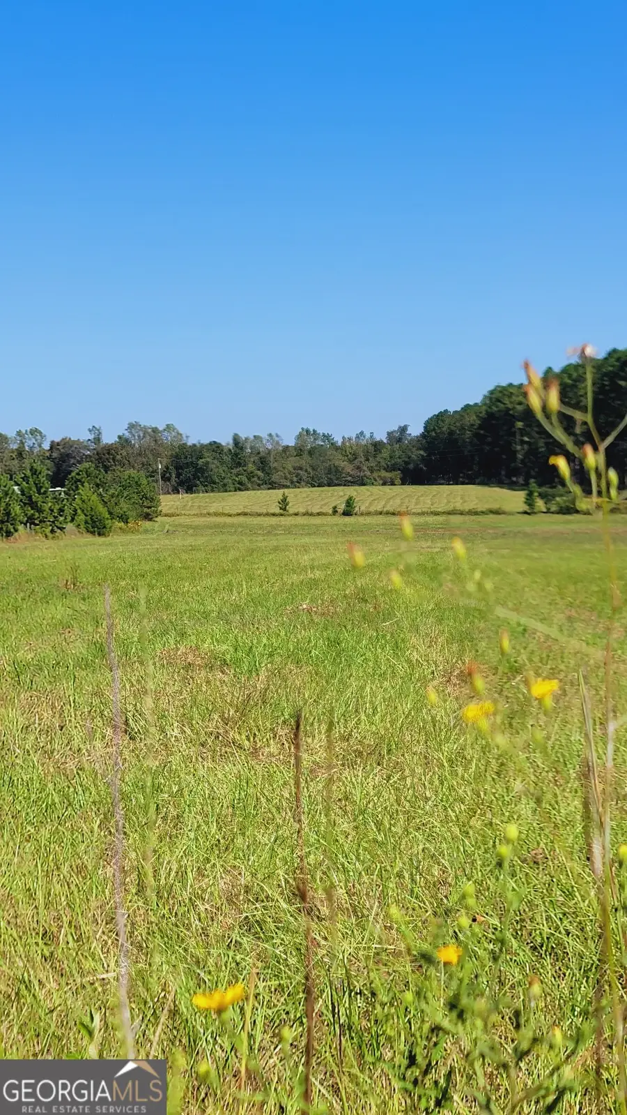 0 Briar Patch Way, Reynolds, GA 31076 - Image #3