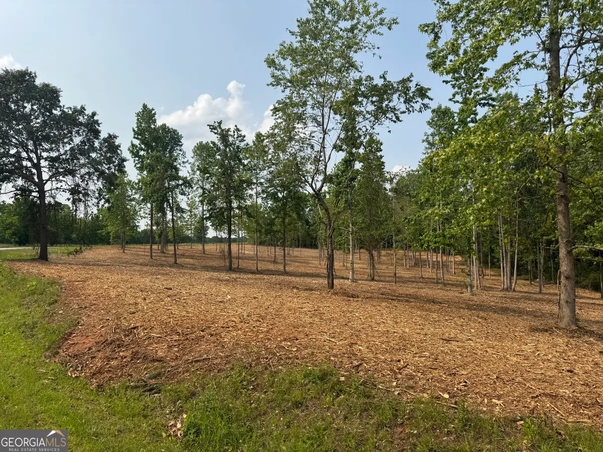 LOT 2 Happy Hollow Road, Roopville, GA 30170 - Image #1