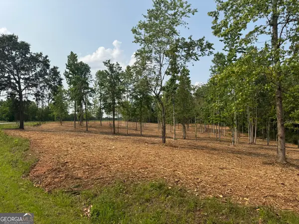 LOT 2 Happy Hollow Road, Roopville, GA 30170
