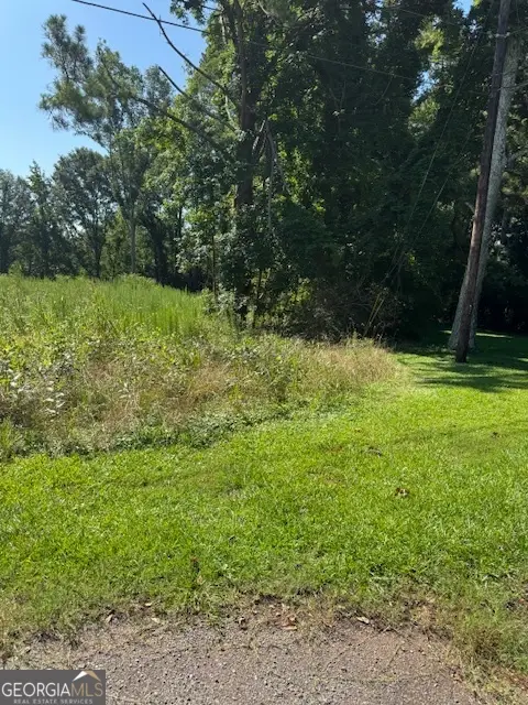 1060 Twin Pines Circle Ne, Greensboro, GA 30642 - Image #3