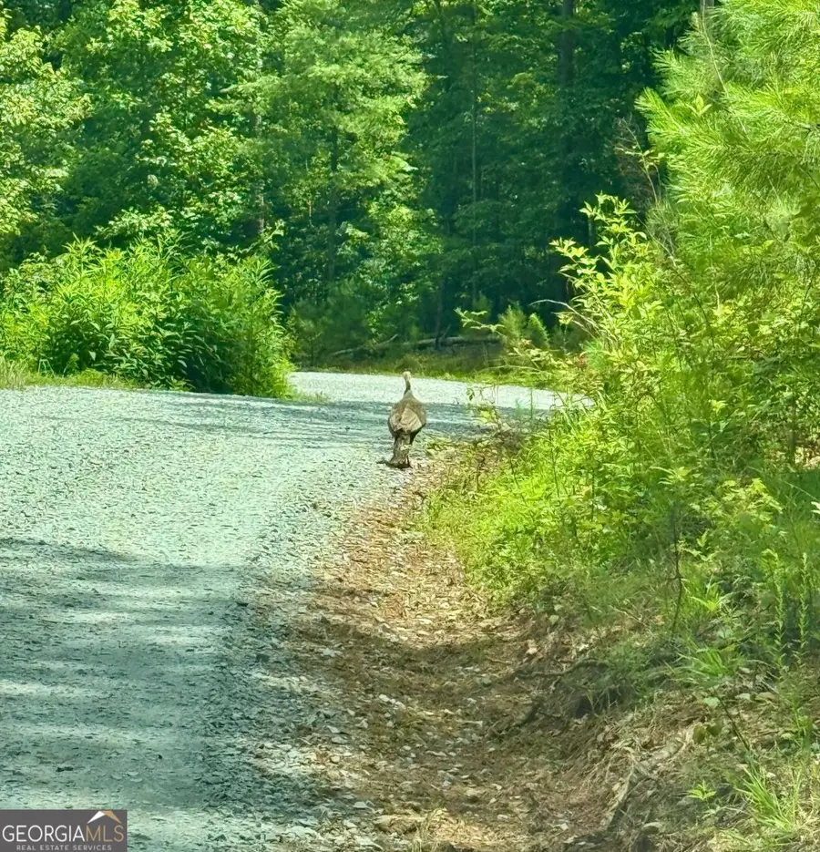 0 Jumper Drive, Ellijay, GA 30540 - #2