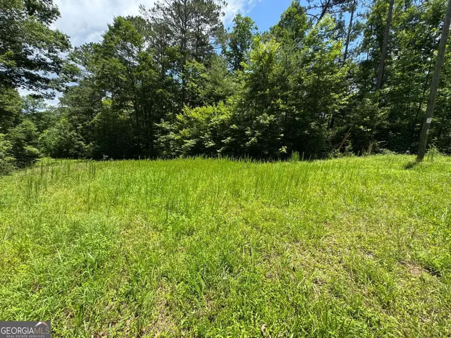 0 Jumper Drive, Ellijay, GA 30540 - #3