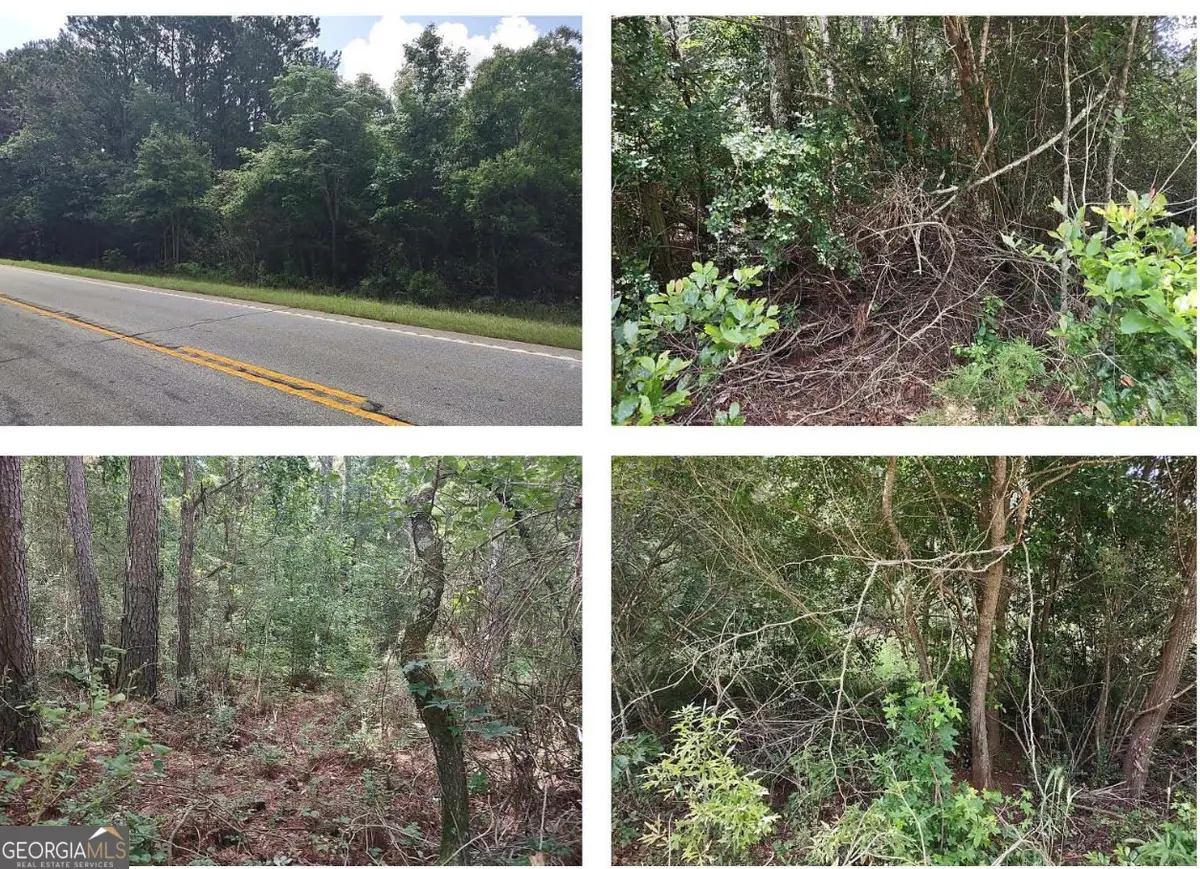 0 Barnesville Highway, The Rock, GA 30285 - Image #1